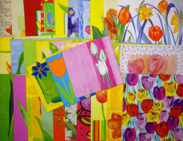 SOPO-013 Tulpen - 30+3 Stück